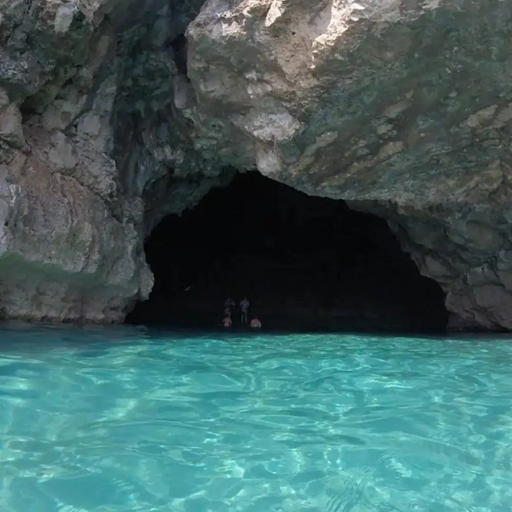 cova llop hospitalet